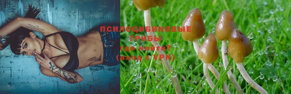 круглые Зеленокумск